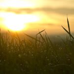 Unlocking Success: Top 5 Business Trends Driving Growth in 2023