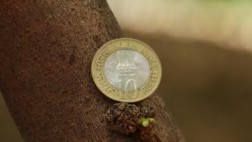 Banking Shake-Up: How New Regulations Impact Your Savings and Loans Today
