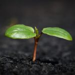 Unlock Your Dream Home: Essential 2023 Mortgage Trends You Can’t Ignore!